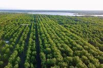 Undeveloped Land for sale in Comanche County, Texas