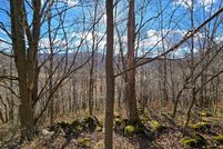 Undeveloped Land for sale in Pocahontas County, West Virginia