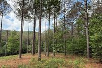 Undeveloped Land for sale in Gilmer County, Georgia