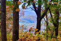 Undeveloped Land for sale in Gilmer County, Georgia