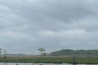 Undeveloped Land for sale in Beaufort County, North Carolina