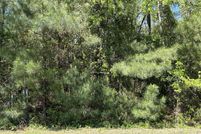 Undeveloped Land for sale in Scotland County, North Carolina