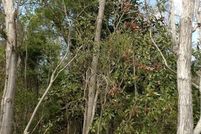 Property for sale in Pender County, North Carolina