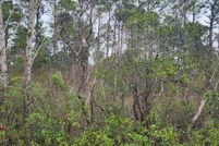 Undeveloped Land for sale in Pender County, North Carolina