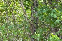 Undeveloped Land for sale in Brunswick County, North Carolina