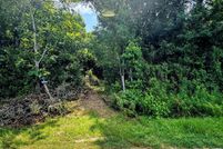 Property for sale in Currituck County, North Carolina