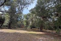 Undeveloped Land for sale in Levy County, Florida