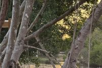 Undeveloped Land for sale in Collier County, Florida