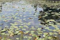 Property for sale in Putnam County, Florida