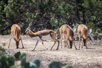 Property for sale in Edwards County, Texas