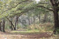 Undeveloped Land for sale in Jasper County, South Carolina