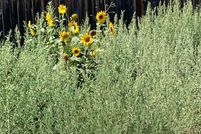 Property for sale in Deschutes County, Oregon