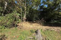Farm Property for sale in Lincoln County, West Virginia