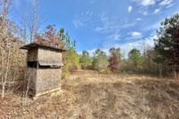 Property for sale in Attala County, Mississippi