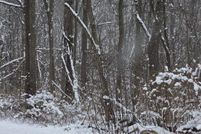 Property for sale in Allegan County, Michigan