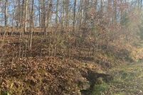 Undeveloped Land for sale in Johnson County, Illinois