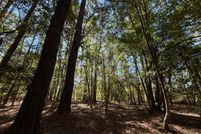 Property for sale in Washington County, Alabama