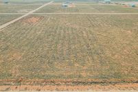 Undeveloped Land for sale in Gaines County, Texas