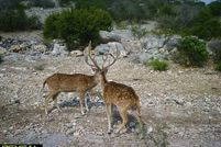 Property for sale in Edwards County, Texas