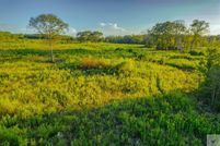 Undeveloped Land for sale in Cass County, Texas