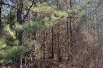 Property for sale in Miller County, Arkansas