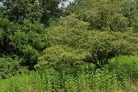 Property for sale in Lawrence County, Kentucky