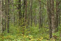 Property for sale in Crow Wing County, Minnesota