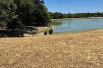 Undeveloped Land for sale in Henderson County, Texas