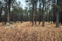 Undeveloped Land for sale in Colfax County, New Mexico