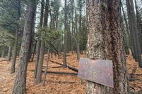 Undeveloped Land for sale in Colfax County, New Mexico