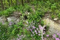 Property for sale in Grayson County, Virginia