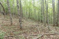 Undeveloped Land for sale in Carroll County, Virginia