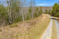 Undeveloped Land for sale in Bland County, Virginia