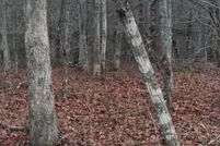 Property for sale in Cumberland County, Tennessee