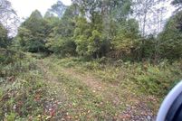 Undeveloped Land for sale in Tazewell County, Virginia