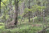 Property for sale in Grayson County, Virginia