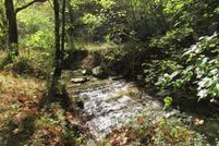 Lakefront Property for sale in Washington County, Virginia