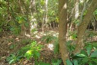 Property for sale in Patrick County, Virginia