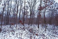 Property for sale in Washington County, Missouri