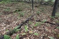 Property for sale in Warren County, New York