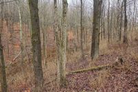 Undeveloped Land for sale in Cattaraugus County, New York