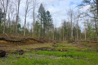 Undeveloped Land for sale in Fulton County, New York