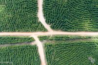 Property for sale in Attala County, Mississippi