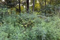 Property for sale in Cocke County, Tennessee