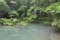 Property for sale in Cocke County, Tennessee