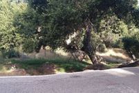 Undeveloped Land for sale in Los Angeles County, California