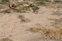 Property for sale in Imperial County, California