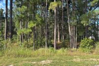 Farm Property for sale in Chatham County, Georgia