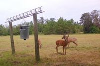 Farm Property for sale in Madison County, Florida