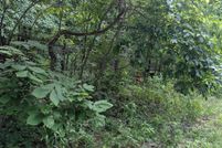 Property for sale in Izard County, Arkansas